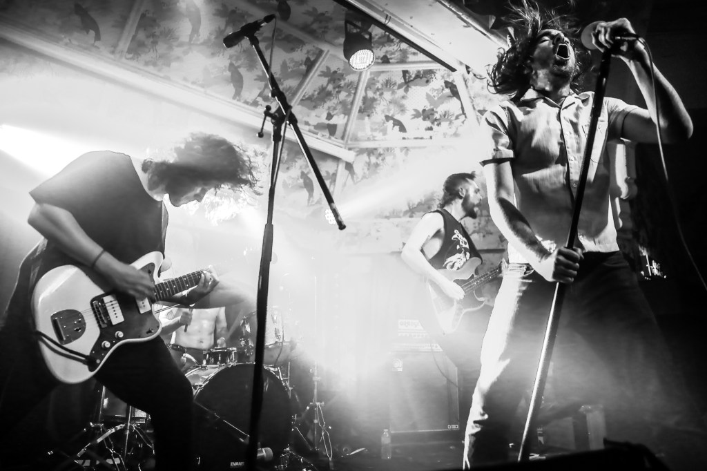 Pulled Apart By Horses + Loose Articles + Dead Sea Apes Saturday 7 February&nbsp;8pm